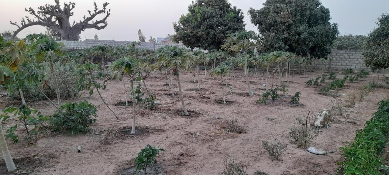 Saly Lrad Le Village Ngaring Exteriör bild