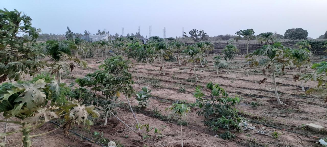 Saly Lrad Le Village Ngaring Exteriör bild