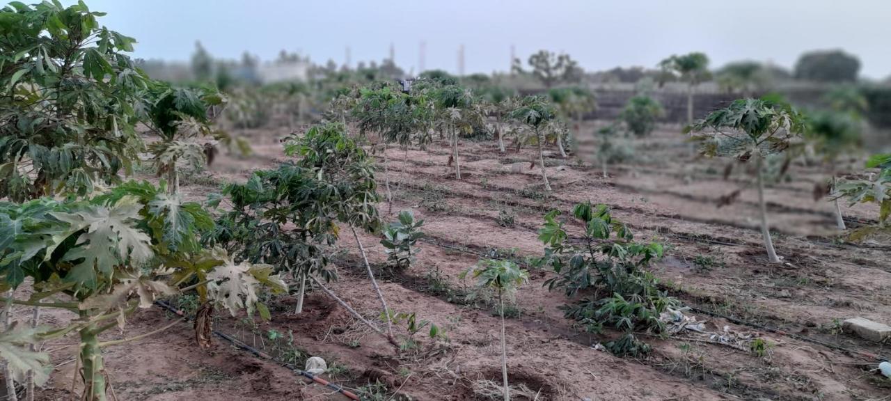 Saly Lrad Le Village Ngaring Exteriör bild